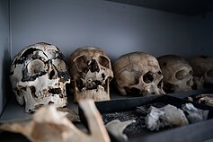 National Forensic Science Service