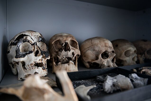 National Forensic Science Service