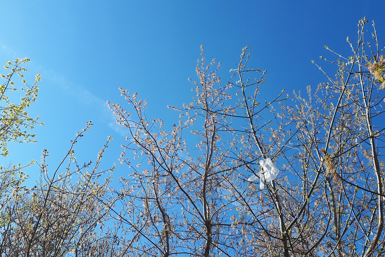 Vaida Pilibaitytė, Vienkartinė planeta. Atliekų pandemija