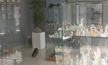 The cat museum in Šiauliai, northern Lithuania