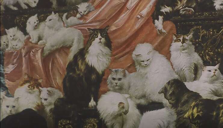 The cat museum in Šiauliai, northern Lithuania