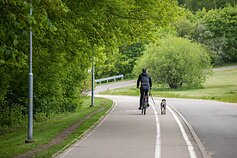Atsinaujino Žirmūnų paplūdimys