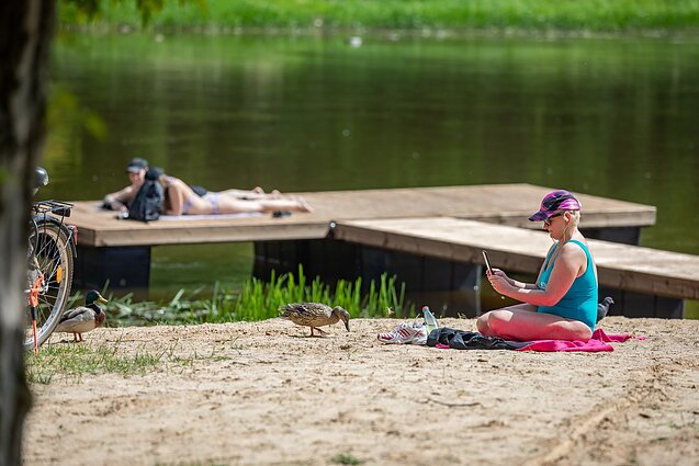 Plaża w Żyrmunach