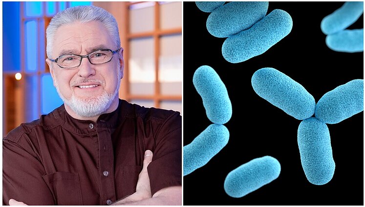 Ant kokių kasdienių prietaisų bakterijų daugiau nei ant klozeto dangčio?