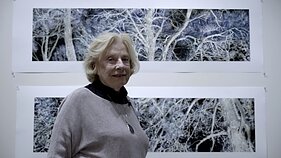 Nijolė Kudirka, laida „Spalvos“ apie Niujorko lietuvius menininkus