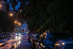 Liūtis ir perkūnija Vilniuje