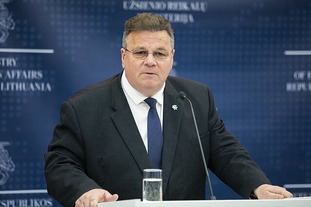 Dienos tema. Ukrainos stojimo į ES galimybes įvertinęs Linkevičius: tai didelio kelio pradžia – laukia sunkus darbas