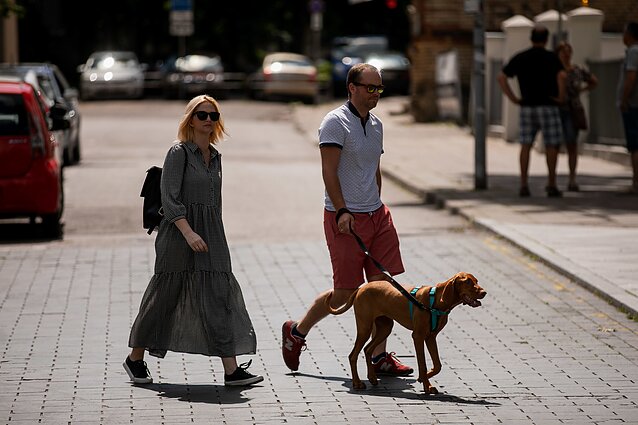 Asociatyvinė nuotrauka Asociatyvinė nuotrauka
