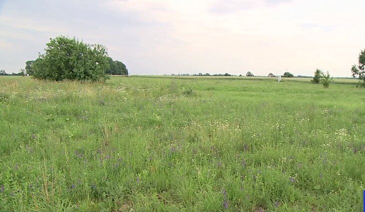 Vieta, kur numatomas namų statymas