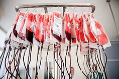 Kraujas (asociatyvi nuotr.)