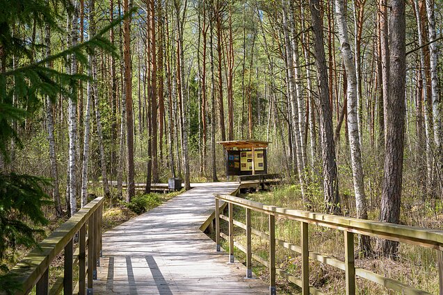 Pašilių stumbrynas Pašilių stumbrynas