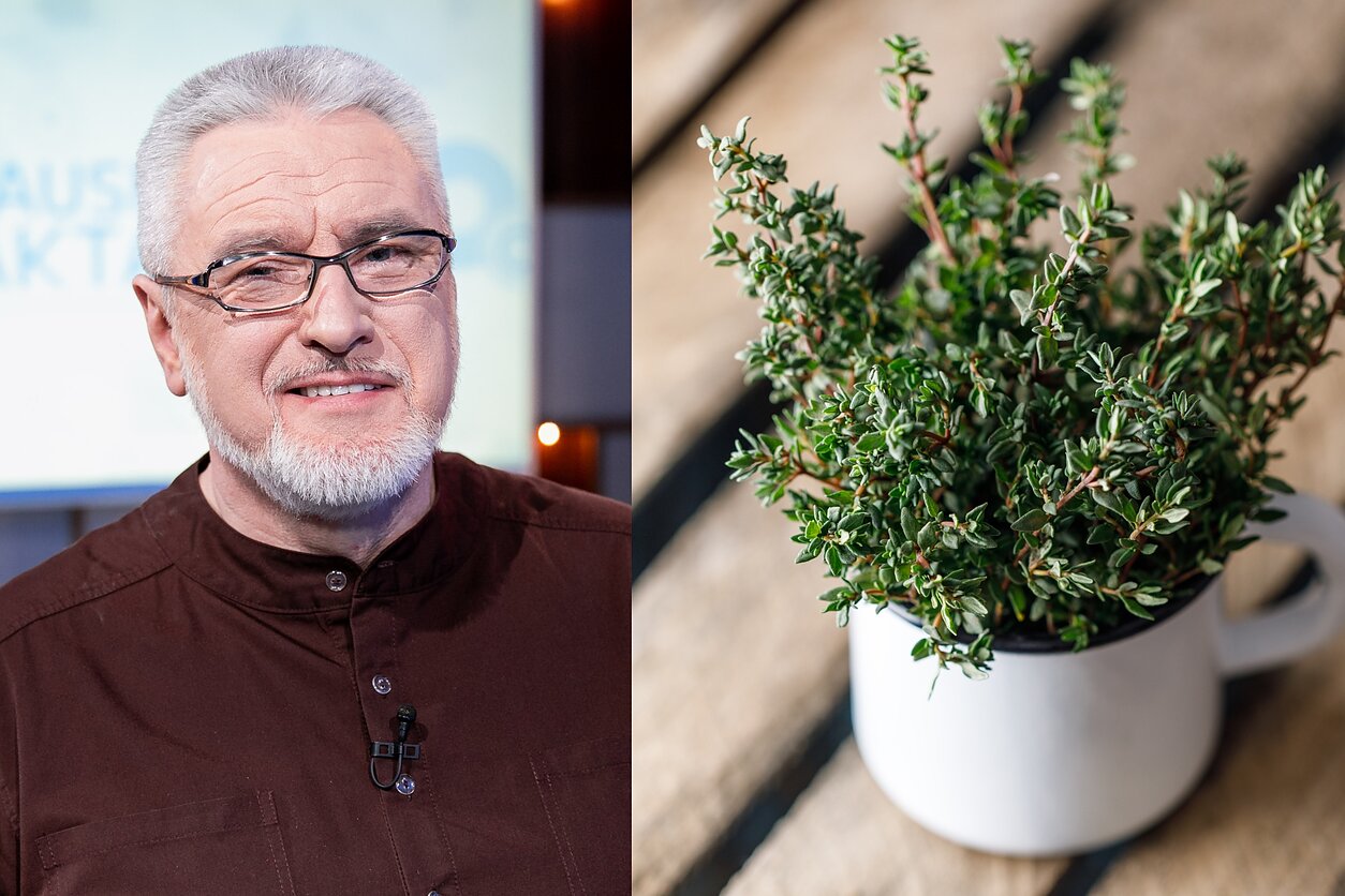 Alvydas Unikauskas Alvydas Unikauskas