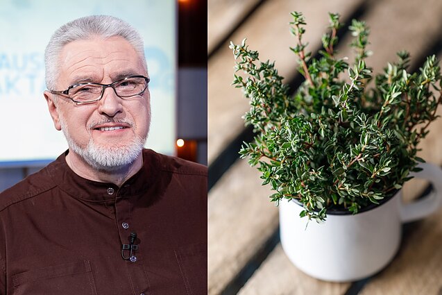 Alvydas Unikauskas Alvydas Unikauskas