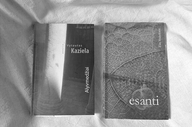 Literatūros akiračiai. Zitos Mažeikaitės ir Vytauto Kazielos poezija