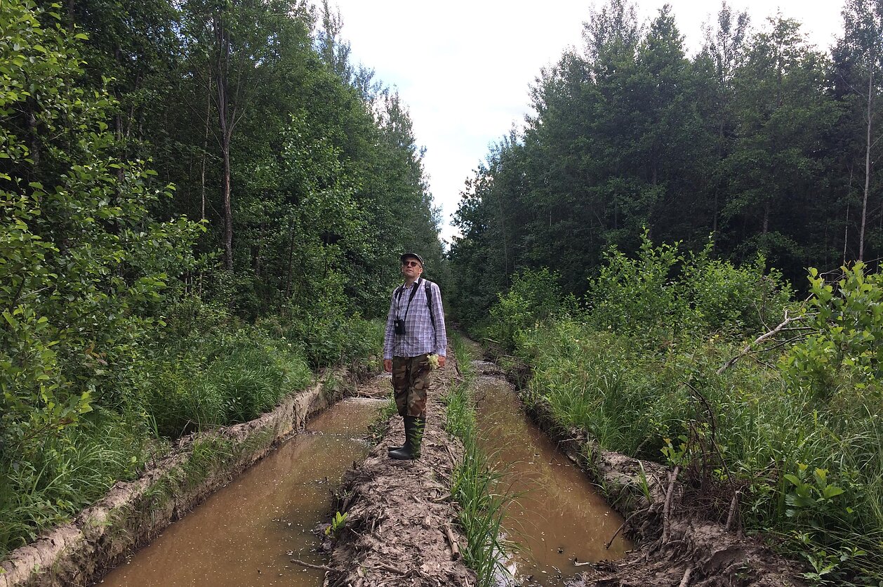 Inga Janiulytė-Temporin, Saulis Skuja