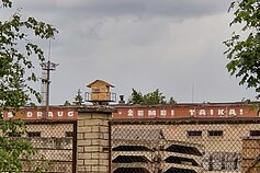 Camino Lituano. Pakruojis. 