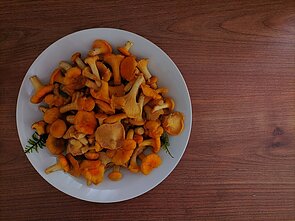 Voveraitės