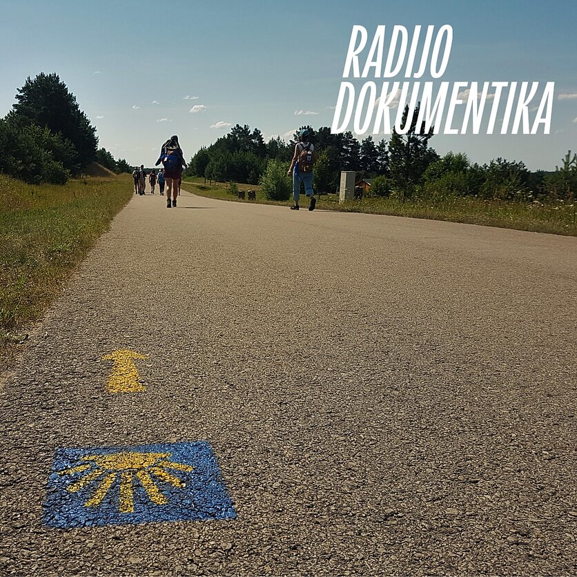 V. Ličytės nuotr., Camino Lituano. Pakeliui į Lazdijus