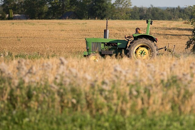 Vis daugiau jaunuolių keliasi į kaimus: specialistai tai sieja su lengvesnėmis galimybėmis pradėti verslą