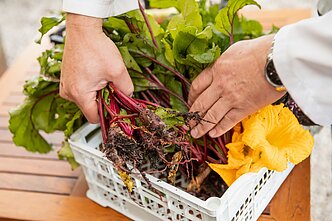 Restoranas „Velvetti“