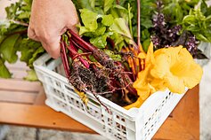 Restoranas „Velvetti“