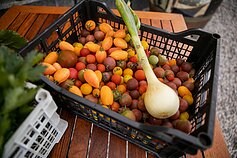 Restoranas „Velvetti“