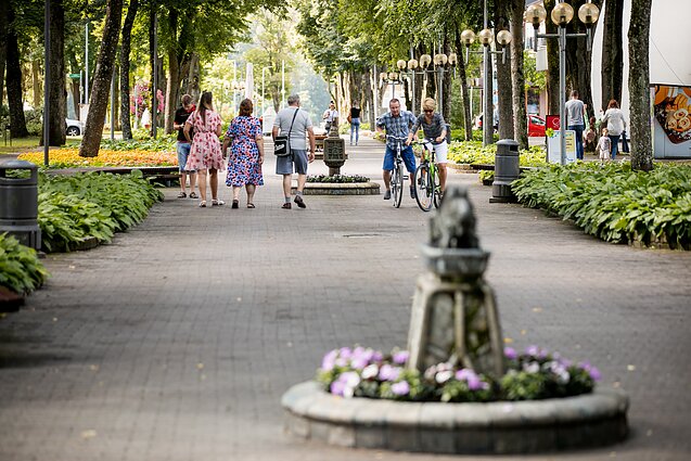 Stop juosta. Maršrutas nr. 136 – Druskininkai II d.