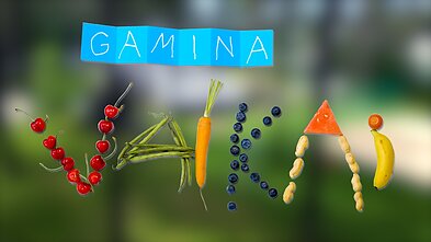 Laida „Gamina vaikai“