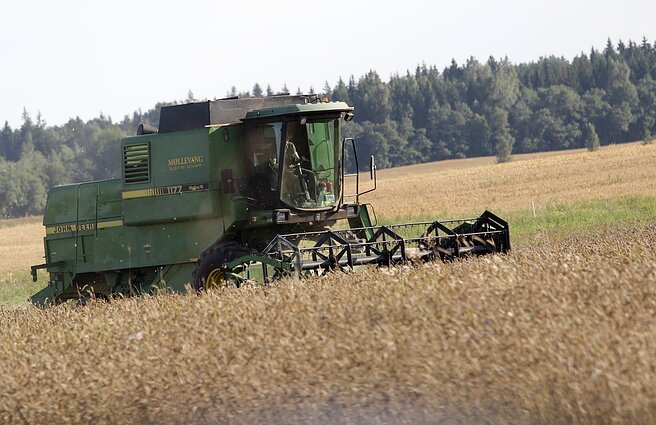 Žinios. Ukrainos ūkininkų laukuose – savas frontas: net ir karo metu žemdirbiai stengiasi eiti į laukus