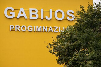 Vilniaus Gabijos progimnazija. Mokykla Vilniaus Gabijos progimnazija. Mokykla