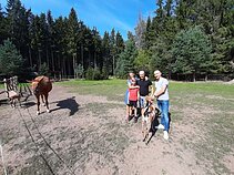 LRT PLIUS laida „Tėčio reikalai“