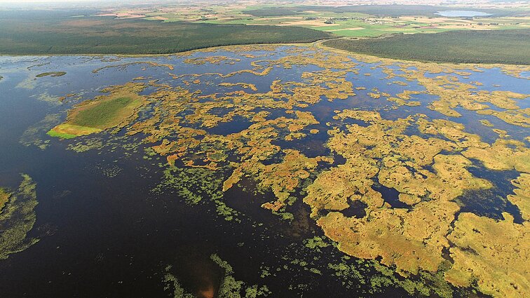 Žinios. Vyriausybė spręs dėl žūklės Žuvinto biosferos rezervate