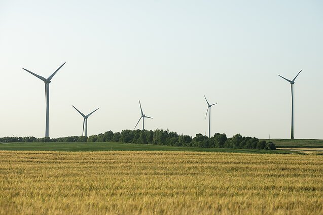 Panorama. „Ignitis grupė“ pasiūlė naujieną – galimybę išsinuomoti nutolusią vėjo jėgainę (su vertimu į gestų k.)