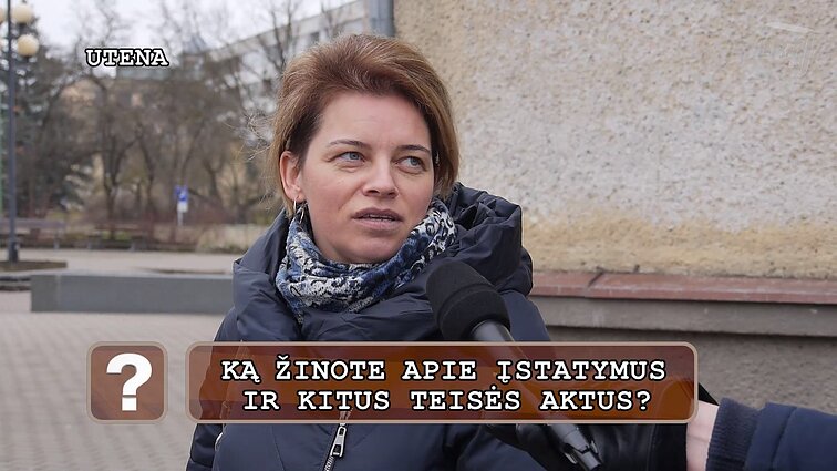 Klausimėlis. Ką žinote apie įstatymus ir kitus teisės aktus?