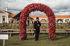 Vestuvinės arkos Pakruojo dvare