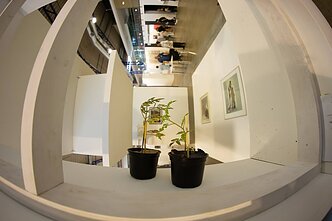 Tarptautinė šiuolaikinio meno mugė „ArtVilnius“