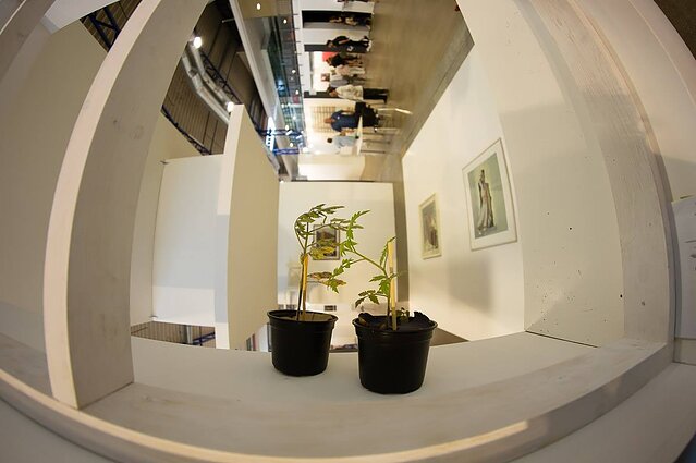 Tarptautinė šiuolaikinio meno mugė „ArtVilnius“