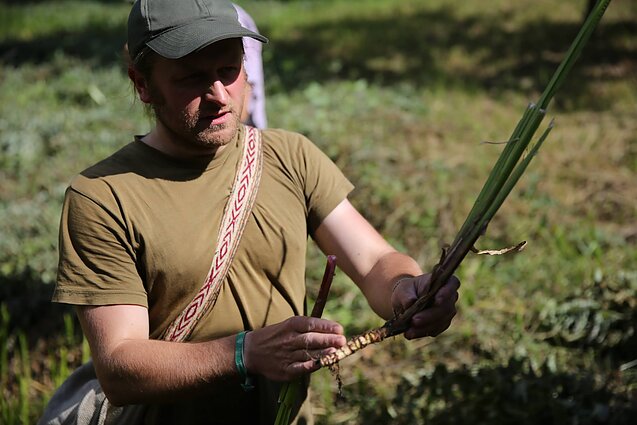Pasaulio puodai. Kokiu tikslu karuose su kryžiuočiais lietuviai naudojo raudonąsias musmires?
