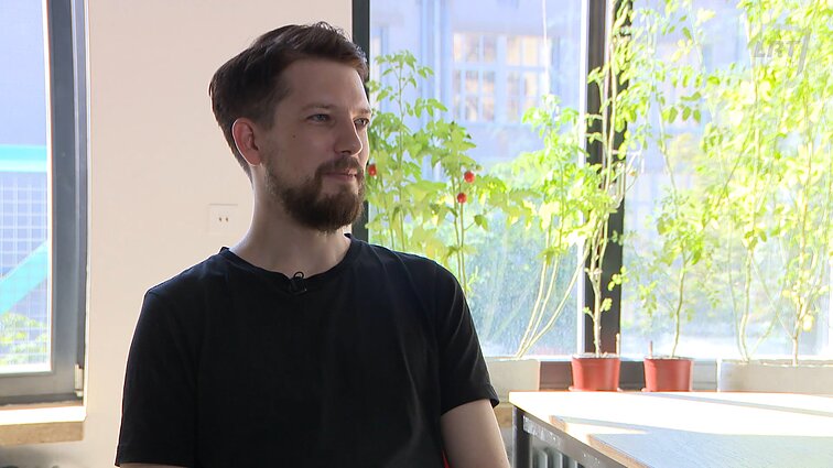 Pomidorai vietoje užuolaidų