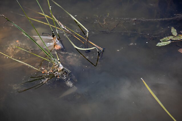 Vilniaus centre į Nerį išsiliejo fekalijos