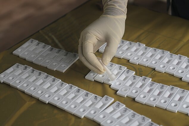 Labas rytas, Lietuva I d. Savarankiškai atliekami testai dėl ligų: kada verta juos įsigyti?