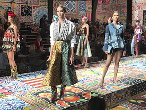 „Dolce & Gabbana“ kolekcija „Dolce & Gabbana“ kolekcija