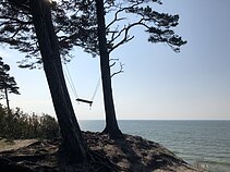 Sūpynės netoli Olando Kepurės skardžio