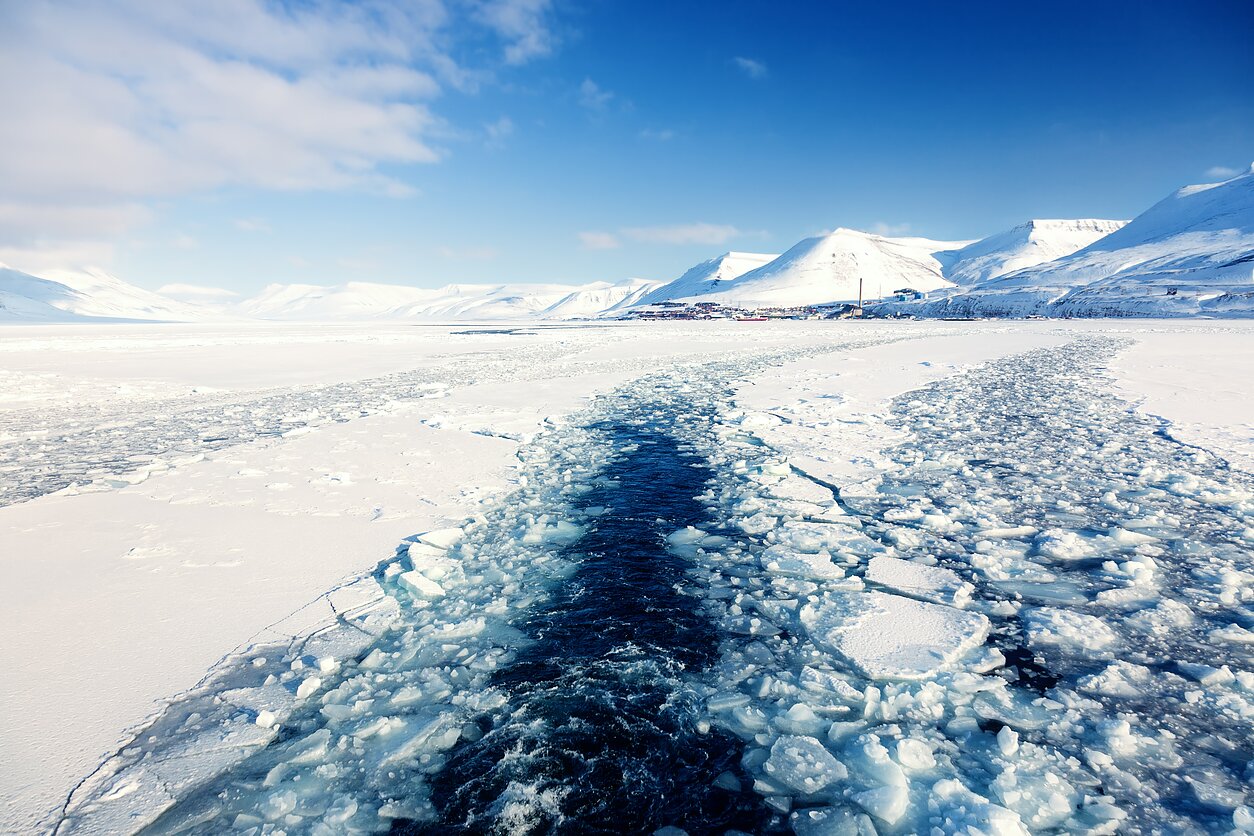 Shutterstock  nuotr., Ledynai