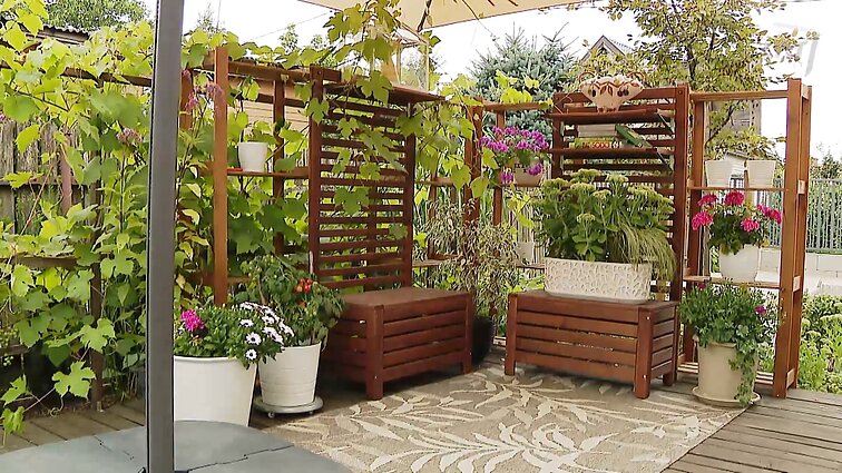 Patogu, estetiška ir originalu: kaip augalai terasą gali paversti įstabiu kampeliu?