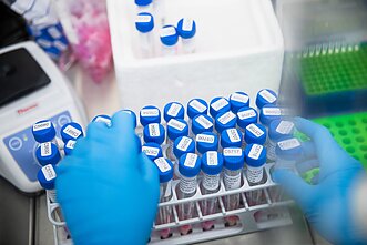 Laboratorija