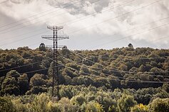 Elektros tinklai