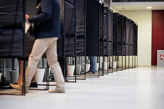 Early voting in Lithuania