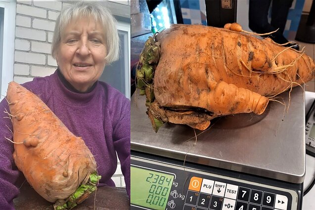  Danutė Krupliauskienė and "carrot the giant"