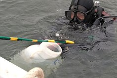 Tyrėjai ima mėginius Rusijos Kamčiatkos pusiasalyje, kur į vandenyną išsiliejo nuodingi chemikalai